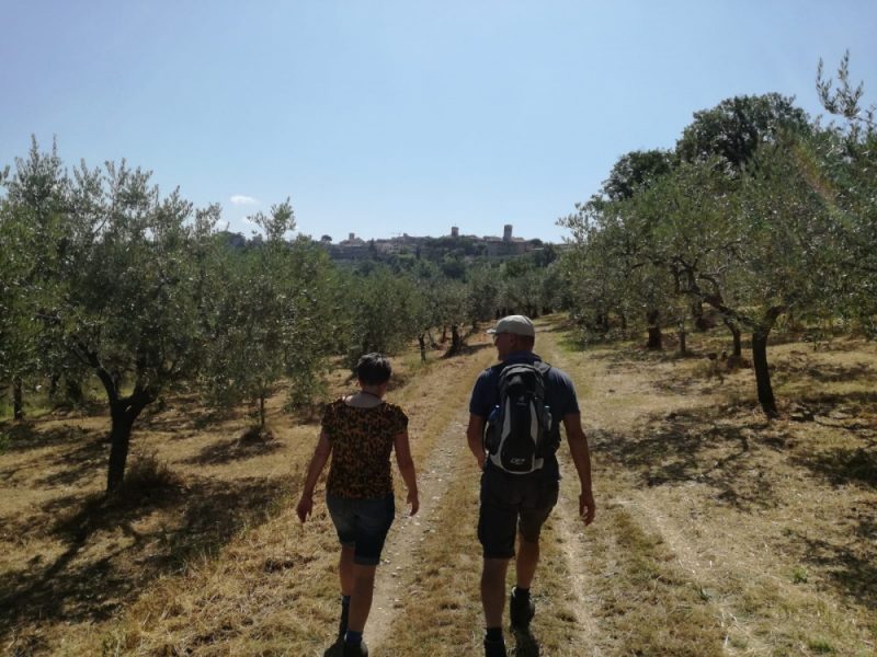 wandelaars in olijfboomgaard