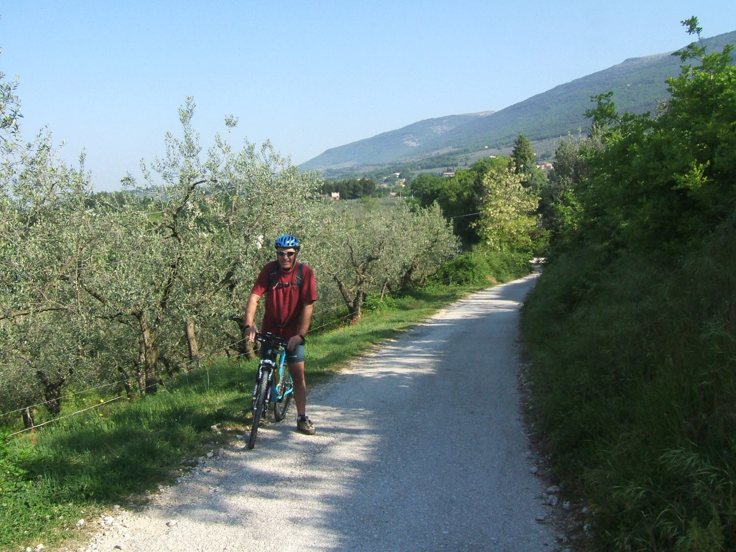 In bici tra gli olivi dell'Umbria