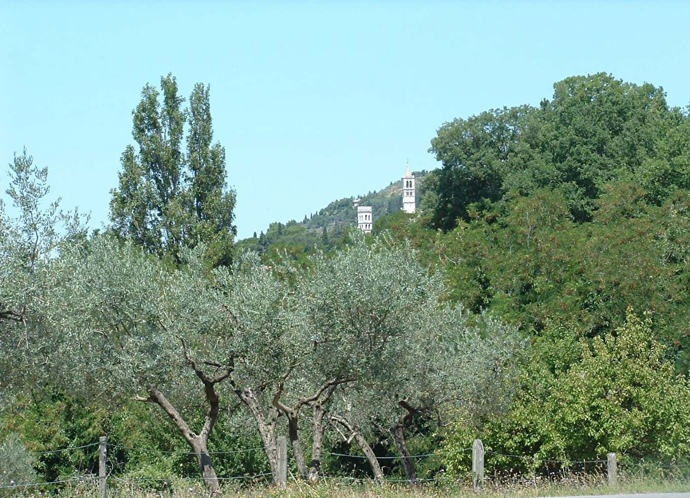 Towers of Assisi