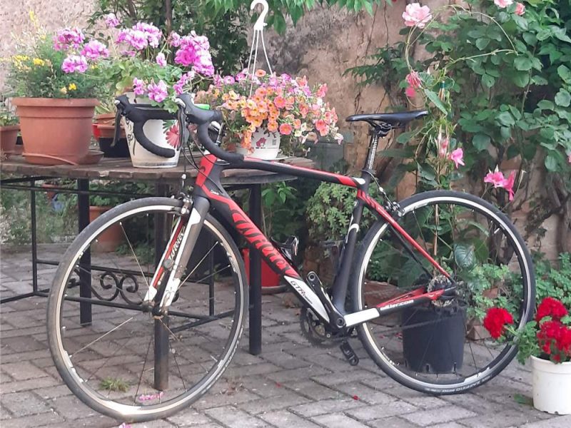 wilier bike rental Umbria