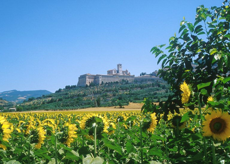 De Franciscusbasiliek in Assisi