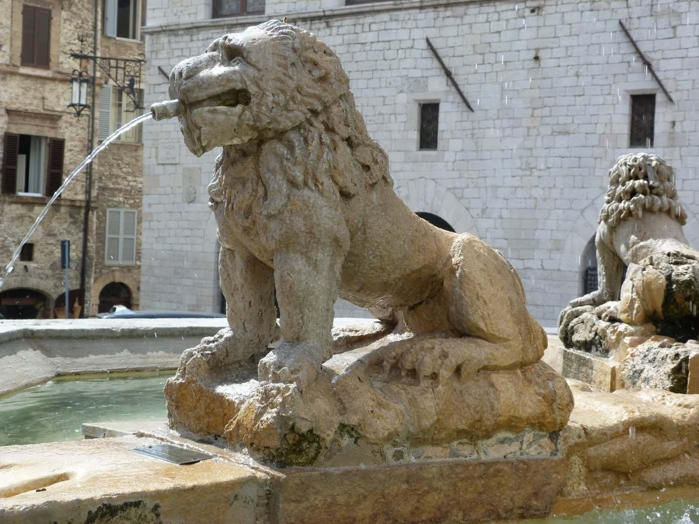 fountain of Assisi