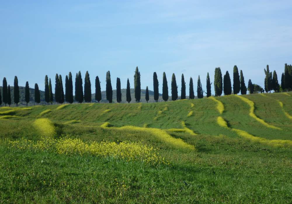 Landschaft Toscana