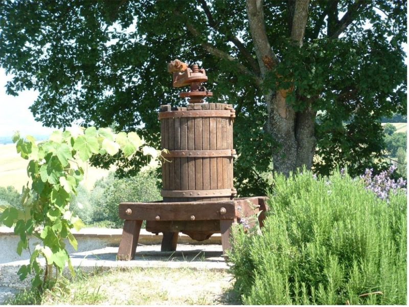 Weinprobe in Umbrien